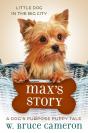 Max'S Story - Preview