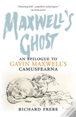Capa do artigo Maxwell'S Ghost