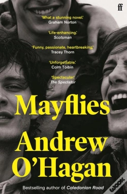 Capa do artigo Mayflies