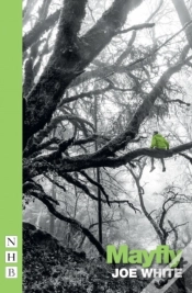 Capa do artigo Mayfly