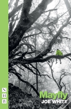 Capa do artigo Mayfly