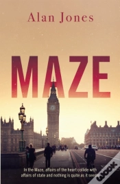 Capa do artigo Maze