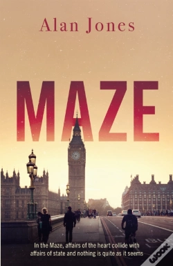Capa do artigo Maze