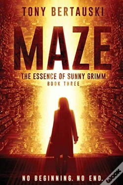Capa do artigo Maze