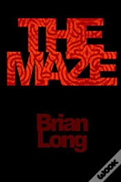 Capa do artigo Maze