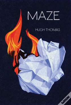 Capa do artigo Maze
