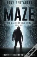 Maze (Large Print Edition)