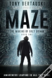Maze (Large Print Edition)
