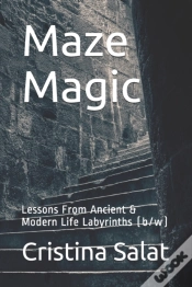 Capa do artigo Maze Magic