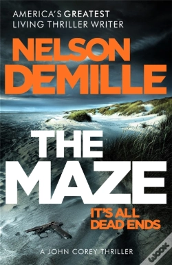 Capa do artigo Maze