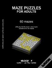 Maze Puzzles For Adults