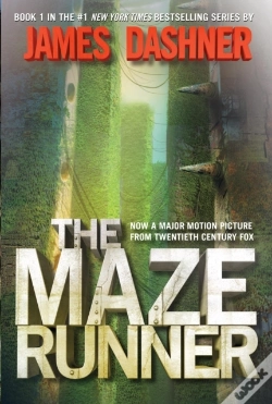 Capa do artigo Maze Runner