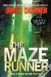 Capa do artigo Maze Runner