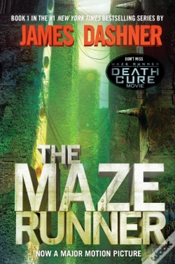 Capa do artigo Maze Runner