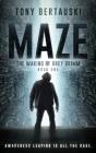 Maze - Preview