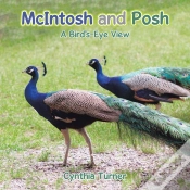 Capa do artigo Mcintosh And Posh