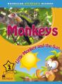 Mcr 2013 2b Monkey - Preview