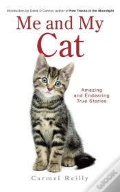 Capa do artigo Me And My Cat