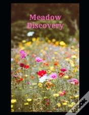 Capa do artigo Meadow Discovery