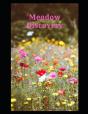 Meadow Discovery - Preview