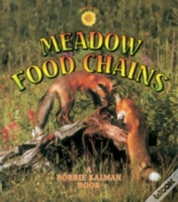 Capa do artigo Meadow Food Chains