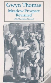 Capa do artigo Meadow Prospect Revisited