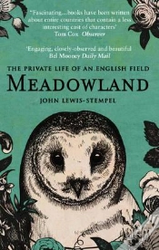 Capa do artigo Meadowland