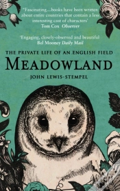 Capa do artigo Meadowland