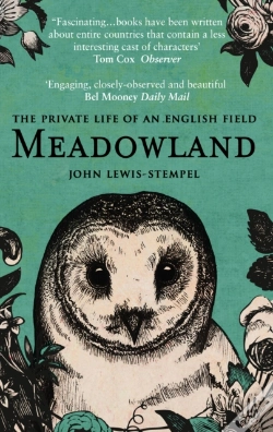 Capa do artigo Meadowland