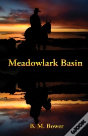Capa do artigo Meadowlark Basin