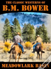 Capa do artigo Meadowlark Basin