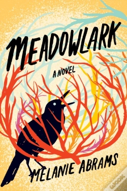 Capa do artigo Meadowlark