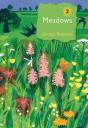 Meadows - Preview