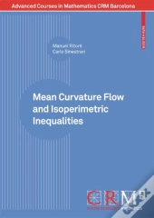 Mean Curvature Flow And Isoperimetric Inequalities