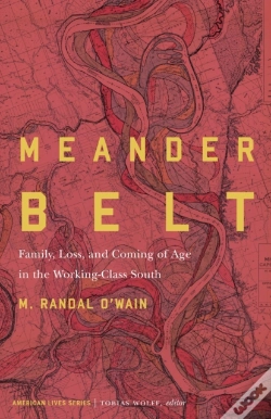 Capa do artigo Meander Belt