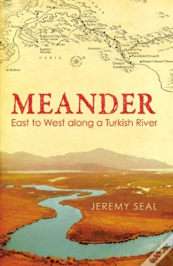 Capa do artigo Meander