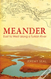Capa do artigo Meander