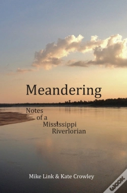 Capa do artigo Meandering