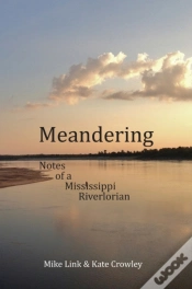 Capa do artigo Meandering