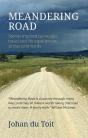 Meandering Road - Preview