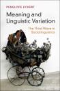 Meaning And Linguistic Variation - Preview