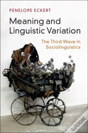Capa do artigo Meaning And Linguistic Variation