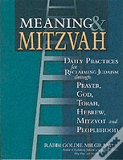 Capa do artigo MEANING AND MITZVAH