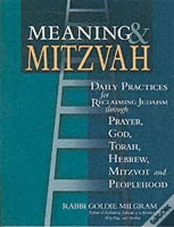 Capa do artigo MEANING AND MITZVAH
