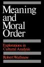 Meaning And Moral Order - Preview