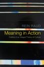 Meaning In Action - Preview