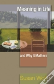 Capa do artigo Meaning In Life And Why It Matters