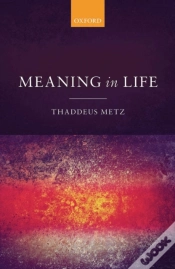 Capa do artigo Meaning In Life
