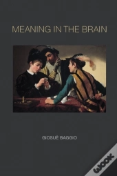 Meaning In The Brain