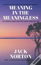 Meaning In The Meaningless